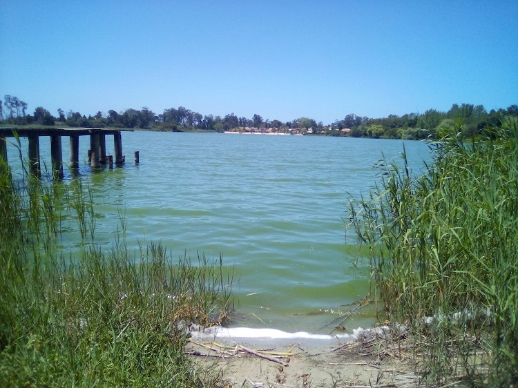 Rádio Regional do Centro: PEV alerta para a poluição da Lagoa de Mira