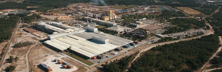 Rádio Regional do Centro: Navigator promove debate sobre capital natural e importância nas comunidades