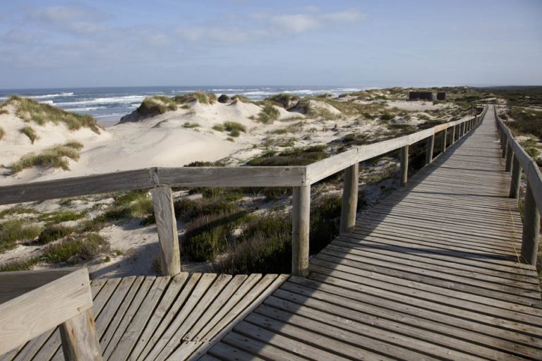 Rádio Regional do Centro: Praia do Osso da Baleia  com ‘live cam’ da Meo Beachcam