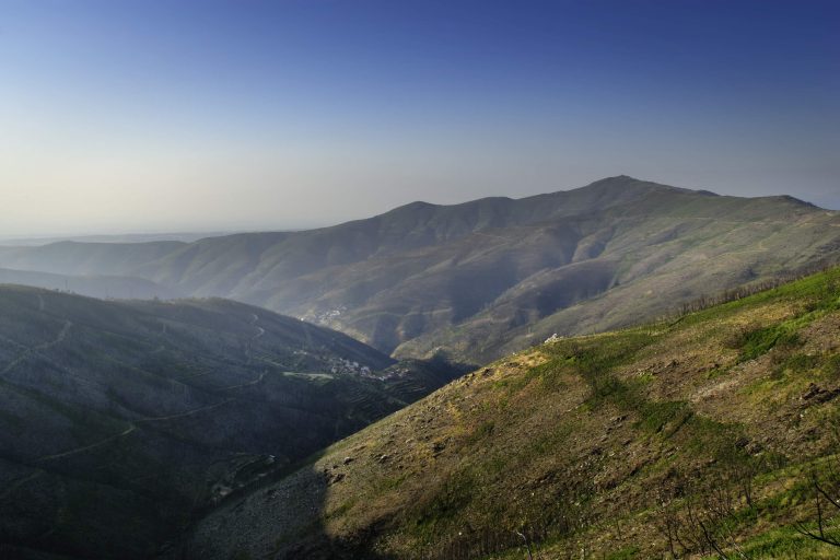 Rádio Regional do Centro: Projecto para a Serra do Açor quer revitalizar terrenos fustigados pelas chamas