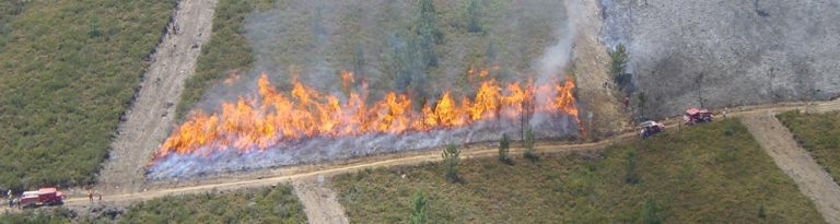 Rádio Regional do Centro: Centro de Estudos sobre Incêndios Florestais da UC promove videoconferências