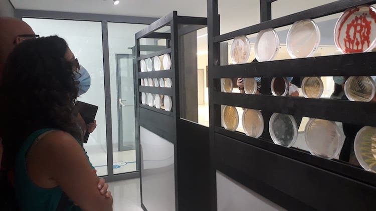 Rádio Regional do Centro: Exploratório apresenta exposição “Microrganismos de Estimação”