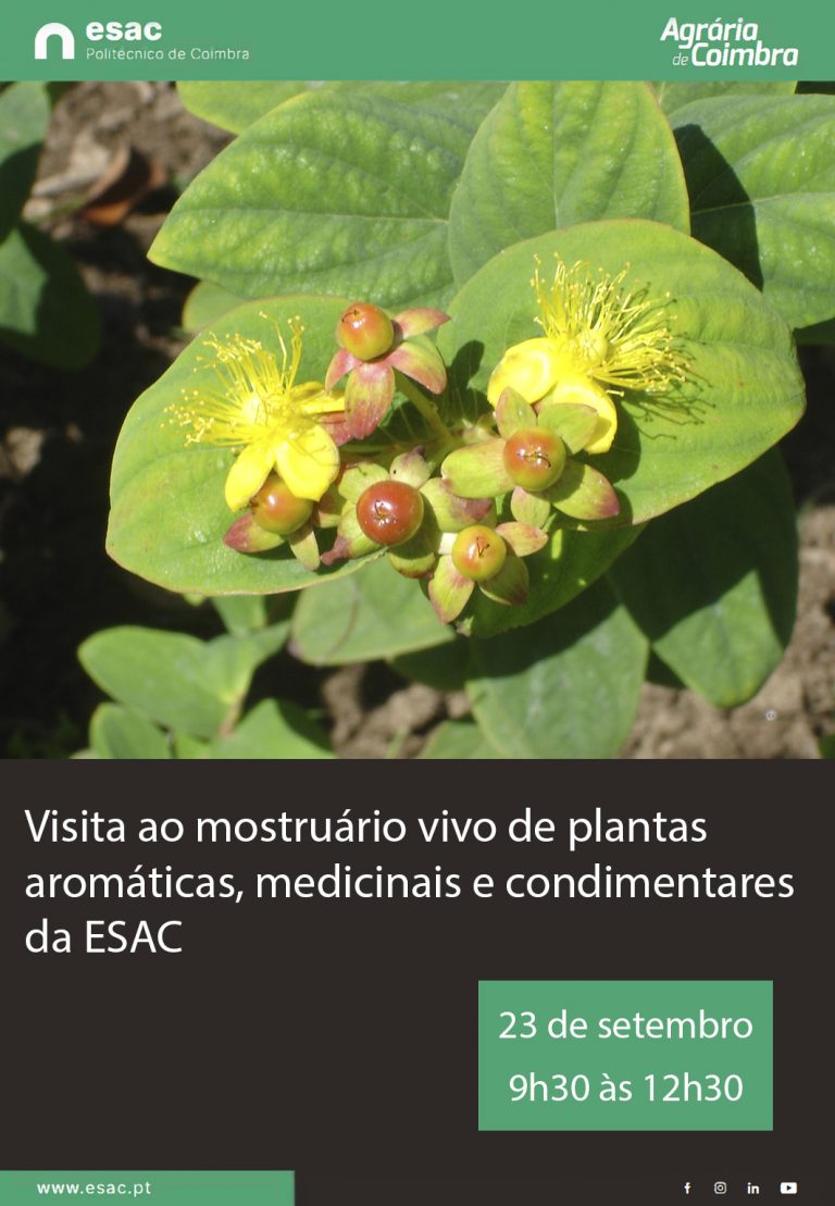 Rádio Regional do Centro: Agrária de Coimbra convida a visitar o seu mostruário vivo de plantas