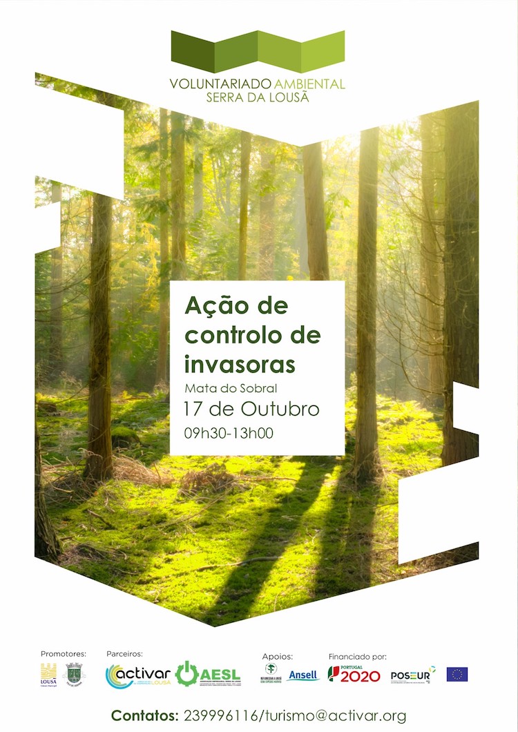 Rádio Regional do Centro: Nova acção de voluntariado ambiental na Mata do Sobral já no próximo sábado