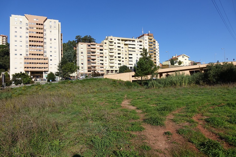 Rádio Regional do Centro: Coimbra: Parque canino vai nascer na avenida Elísio de Moura