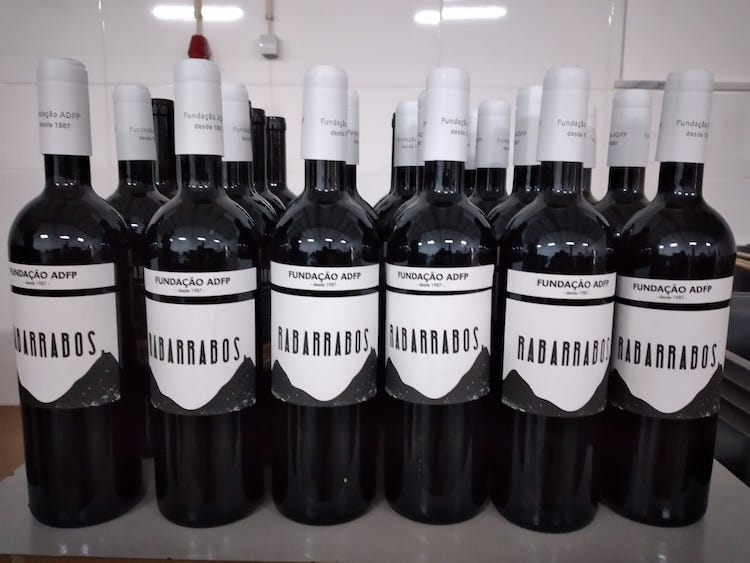 Rádio Regional do Centro: Penela acolhe apresentação do vinho Rabarrabos