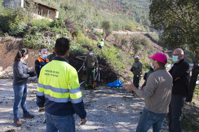 Rádio Regional do Centro: Acção na Serra da Fraga, em Poiares, para combater espécies invasoras