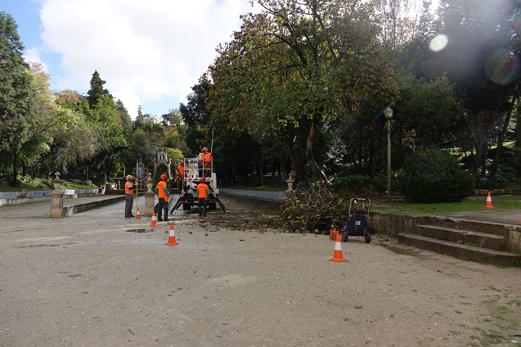 Rádio Regional do Centro: Câmara de Coimbra iniciou intervenção no património arbóreo do Jardim da Sereia