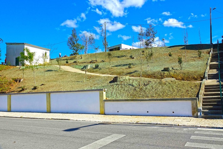 Rádio Regional do Centro: Coimbra vai plantar quase 2000 árvores em 2021