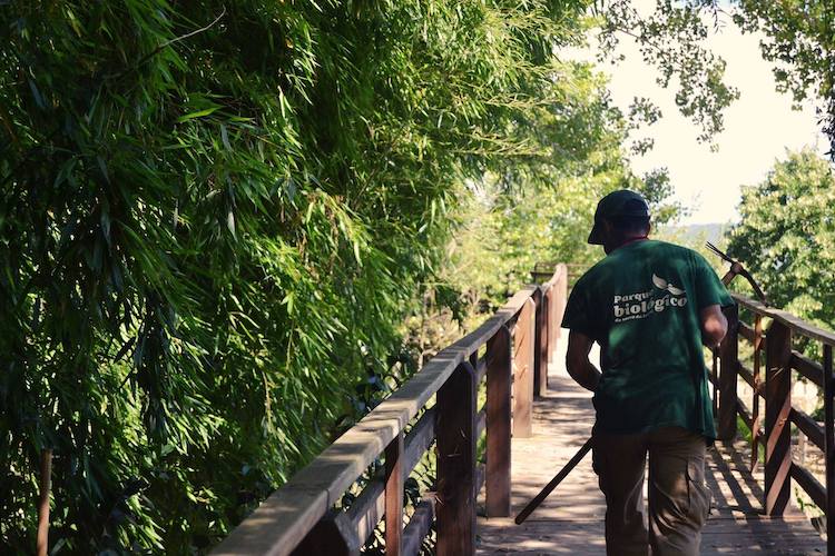 Rádio Regional do Centro: O Homo sapiens é a espécie do mês no Parque Biológico da Serra da Lousã