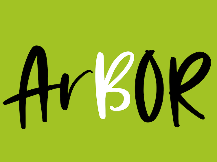 Rádio Regional do Centro: Associação de Arganil regenera comunidade afectada pelos fogos