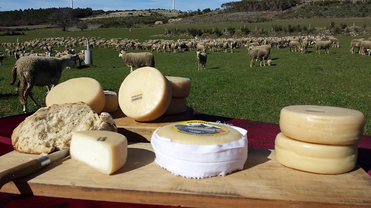 Rádio Regional do Centro: Queijo da Serra da Estrela com quebra de 60 por cento nas vendas