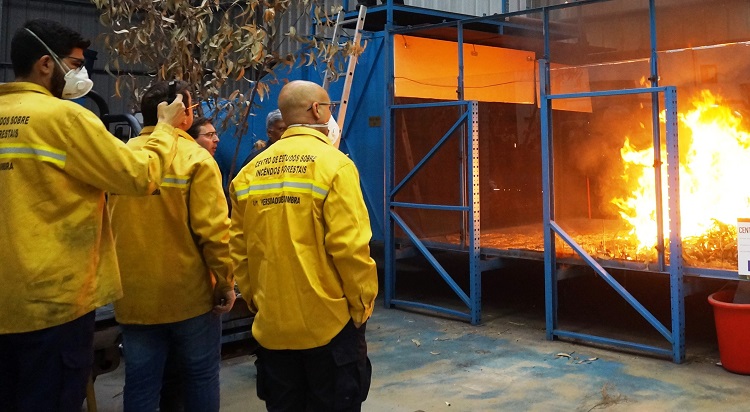 Rádio Regional do Centro: Projecto da UC conquista 10 milhões de euros para estudar incêndios florestais