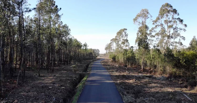 Rádio Regional do Centro: Cantanhede reforça execução de faixas de gestão de combustível