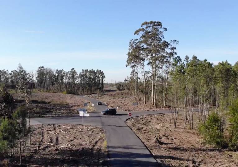 Rádio Regional do Centro: Cantanhede reforça execução de faixas de gestão de combustível