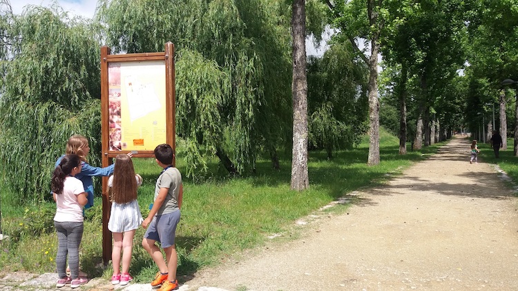 Rádio Regional do Centro: Centro de Interpretação Ambiental da Mealhada com 26 000 visitantes