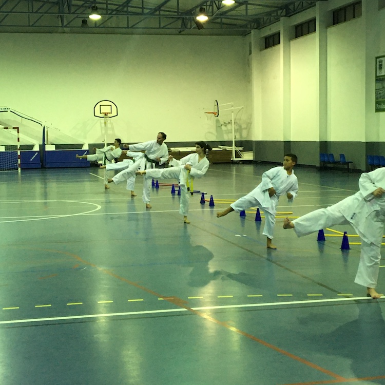 Rádio Regional do Centro: Gala Desportiva da Mealhada presta homenagem ao desporto concelhio