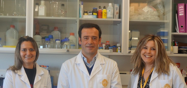 Rádio Regional do Centro: UC: Consumo continuado de mirtilo tem forte impacto no fígado