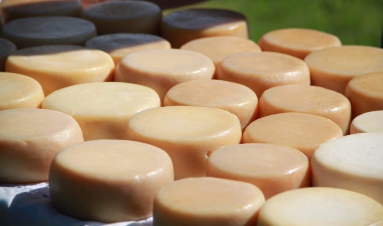 Rádio Regional do Centro: InovCluster quer valorização económica dos queijos DOP da região Centro