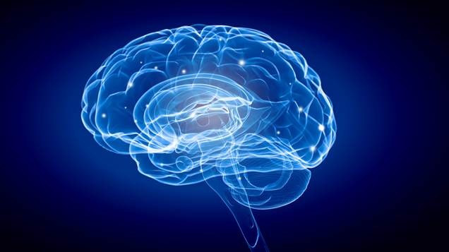 Rádio Regional do Centro: UC promove Semana Internacional do Cérebro através de sessões online em Março