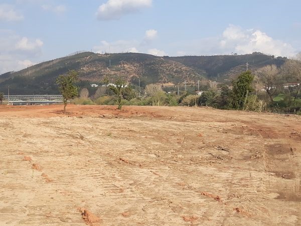 Rádio Regional do Centro: Coimbra: Câmara confirma contactos para criação de campo de golfe