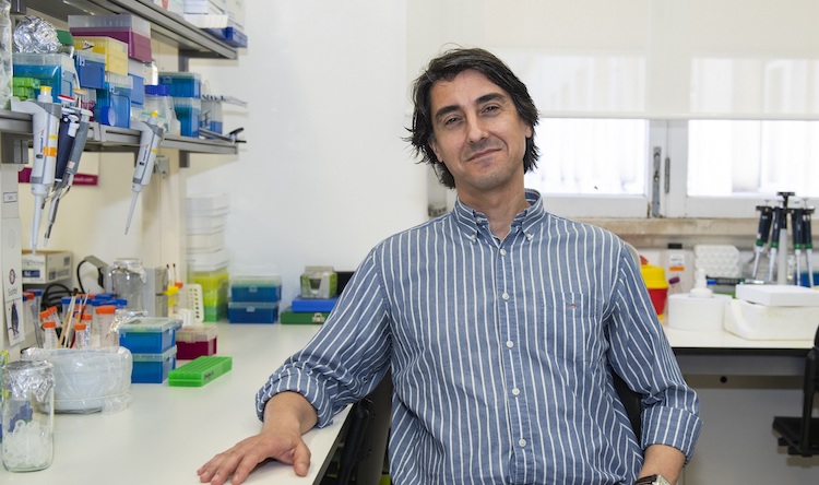 Rádio Regional do Centro: Nanopartícula contra cancro criada na UC obtém estatuto de “medicamento órfão”