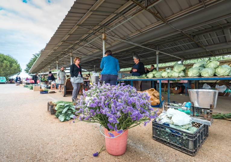 Rádio Regional do Centro: Condeixa: Mercado vai entrar em obras para melhorar zona de produtores