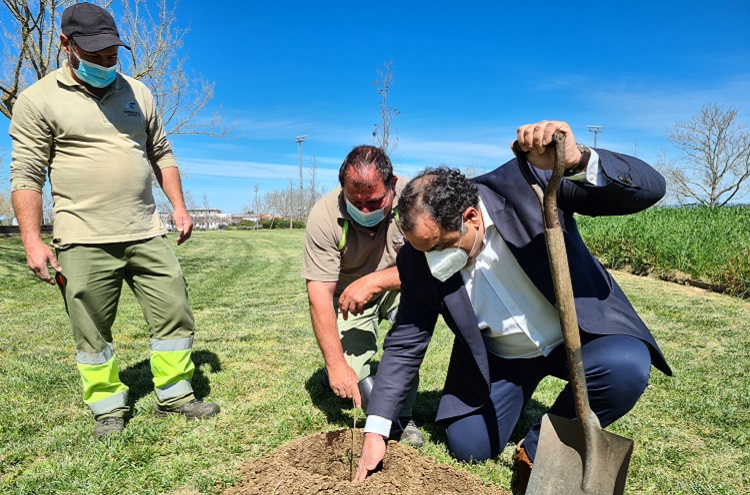 Rádio Regional do Centro: Presidente da Câmara de Condeixa associa-se a campanha e planta uma árvore