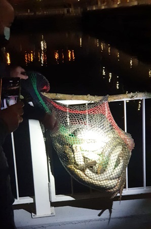 Rádio Regional do Centro: PSP identifica suspeitos por pesca ilegal da lampreia no rio Mondego