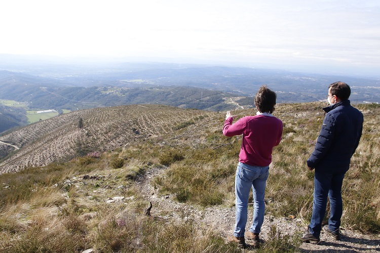 Rádio Regional do Centro: Arganil: arrancaram as acções de rearborização da Floresta da Serra do Açor