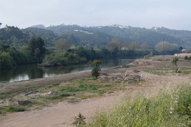 Rádio Regional do Centro: “Somos Coimbra” acusa CMC de destruir vegetação entre o Rebolim e a Portela