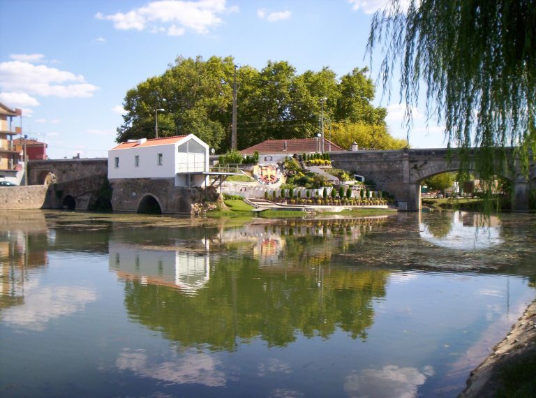 Rádio Regional do Centro: Escola de Soure lidera pontuação das escolas de Coimbra na Academia Ponto Verde