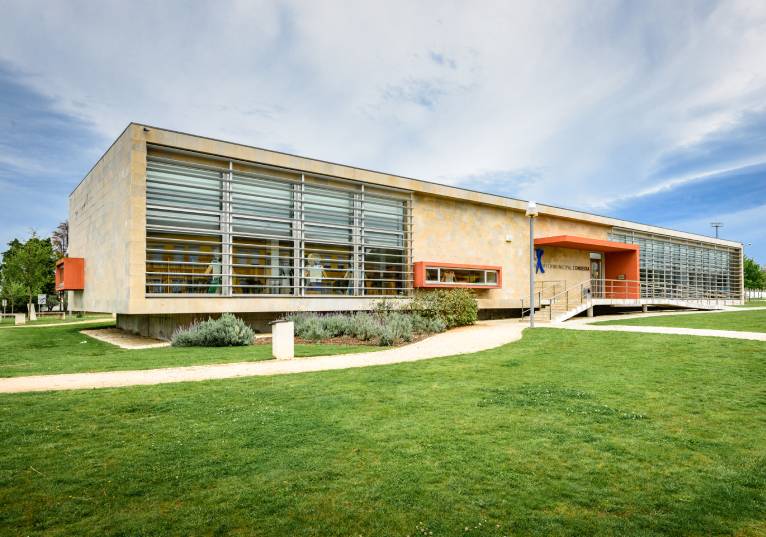 Rádio Regional do Centro: Condeixa: Webinar da Biblioteca Municipal analisa benefícios da leitura