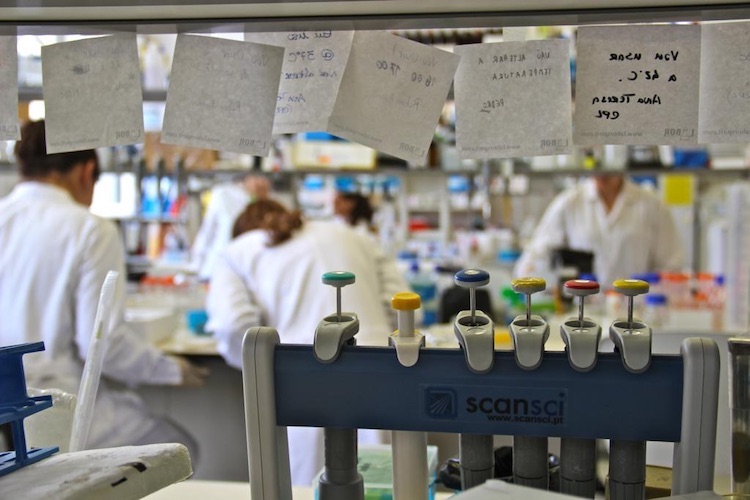 Rádio Regional do Centro: Projecto da Universidade de Coimbra recebe financiamento de 240 000 euros