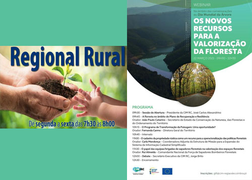 Rádio Regional do Centro: Regional Rural – O arroz depois das pragas Rádio Regional do Centro: Regional Rural – O arroz depois das pragas