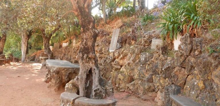 Rádio Regional do Centro: Câmara de Coimbra vai ampliar jardim do Penedo da Saudade e criar parque urbano