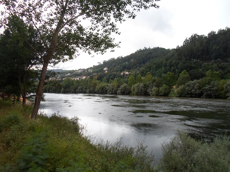 Rádio Regional do Centro: Município de Coimbra vai estender limpeza no Mondego a montante da Portela