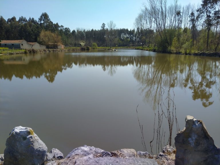 Rádio Regional do Centro: Anadia: Trabalhos de limpeza e manutenção da Lagoa de Chipar de Cima