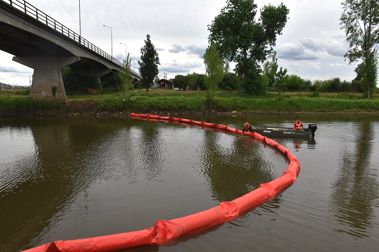 Rádio Regional do Centro: Montemor-o-Velho reforça combate ao jacinto-de-água