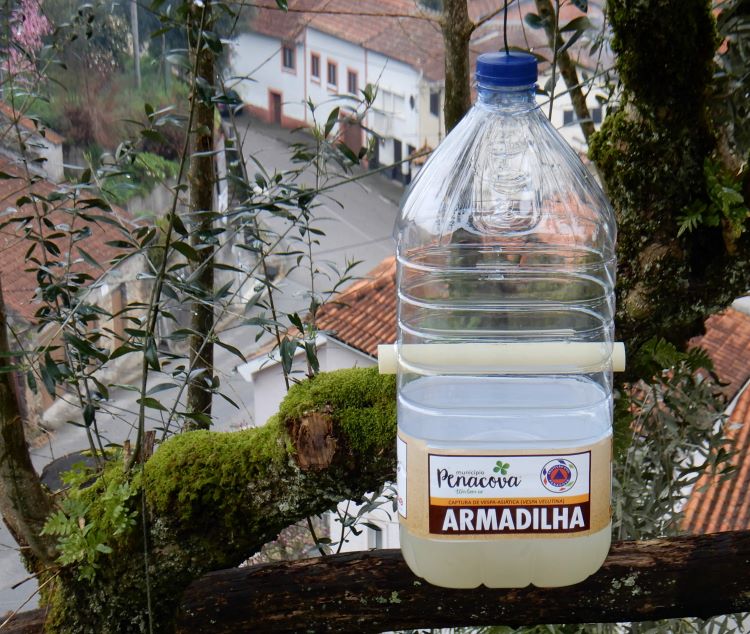 Rádio Regional do Centro: Penacova reforça prevenção e combate à vespa velutina