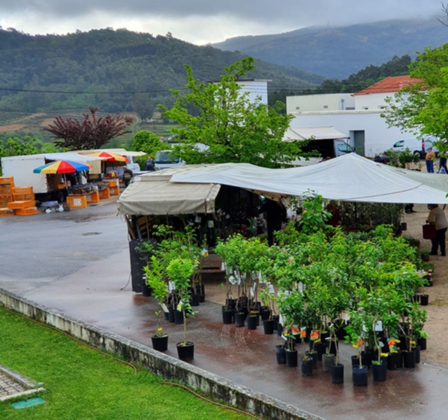 Rádio Regional do Centro: Município de Arganil mantém isenção de taxas a comerciantes e feirantes