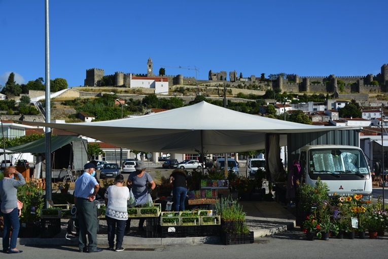 Rádio Regional do Centro: Feira Quinzenal de Montemor-o-Velho reabre a 21 de abril