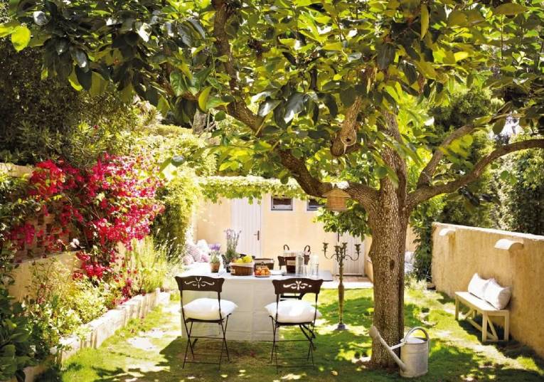 Rádio Regional do Centro: Leiria: Município oferece árvores para quintais e jardins