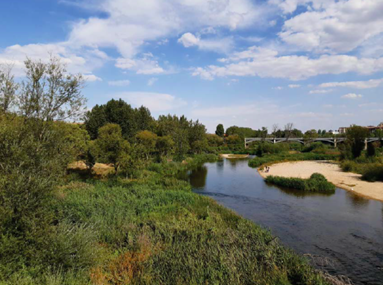 Rádio Regional do Centro: Investigadores preocupados com intervenção da Câmara na margem do Mondego