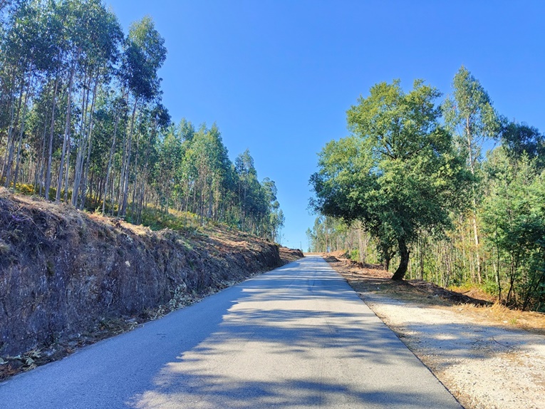 Rádio Regional do Centro: Penacova executa faixas de gestão de combustível na rede viária municipal