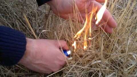 Rádio Regional do Centro: GNR deteve incendiário em Cantanhede