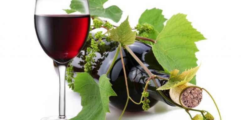 Rádio Regional do Centro: Vinisicó organiza vindimas de Sicó em Setembro