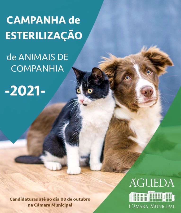 Rádio Regional do Centro: Câmara de Águeda apoia esterilização de animais de companhia