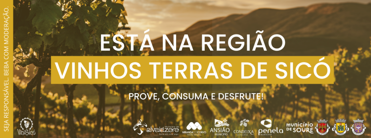 Rádio Regional do Centro: Autarquias de Sicó juntas pela promoção da região de vinhos