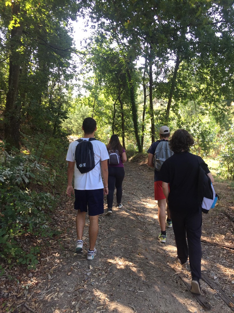 Rádio Regional do Centro: Águeda: Jovens vigiaram floresta do concelho durante a época crítica de incêndios